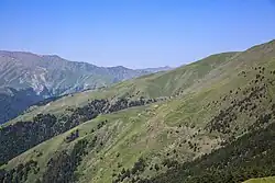 mozaikovitá lesní hranice