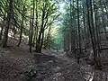 Vápenná dolina