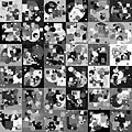 32-elem/36-fiel/bw_3, 2010