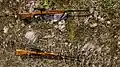Pušky vz. 54 ve hře ArmA 3