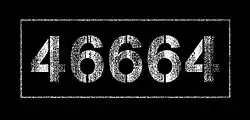 46664