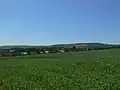 Dědice, A. B. Svojsíka