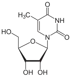 Ribothymidin