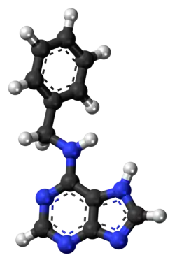 Kuličkový model 6-BAP
