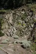 Skalka