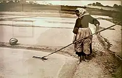 Slaniska Billiers (Morbihan) (počátek 20. století, Muzeum Bretaně, Rennes).