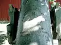 76mm protiletadlový kanon (1917)
