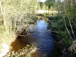 Ažytė