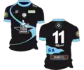 Venkovní dresy v sezóně 2013-2014