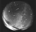Meteory roje Leonid z roku 1998, zachycené na pointované fotografické desce