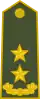 Albánie: armáda