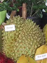 alternativní popis obrázku chybí