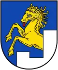Bramberg am Wildkogel – znak