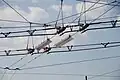 Křížení tramvajové a trolejbusové troleje