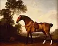 Zátoka s osedlaným koněm (olej na desce, 1786)