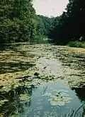 Řeka Túr