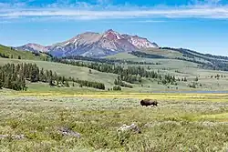 Nejvyšší hora Electric Peak z Yellowstonského národního parku