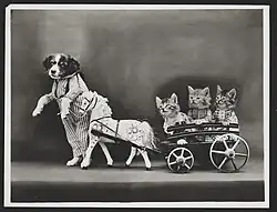 A joy-ride