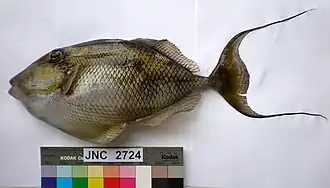 alternativní popis obrázku chybí