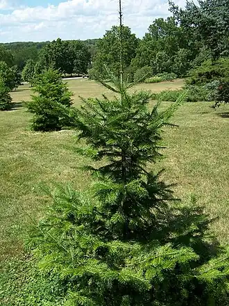 alternativní popis obrázku chybí