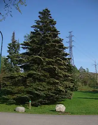 alternativní popis obrázku chybí