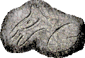 Rytina z Abri Cellier (Francie)