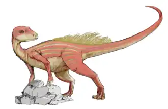 alternativní popis obrázku chybí