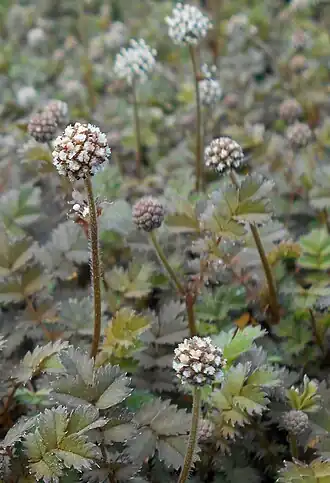 alternativní popis obrázku chybí