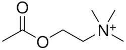 vzorec