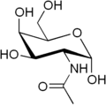 N-acetylgalaktosamin