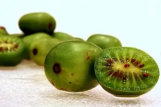 alternativní popis obrázku chybí