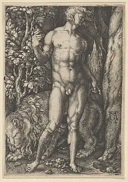 Adam a lev