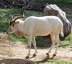 alternativní popis obrázku chybí