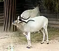 Zoo Praha