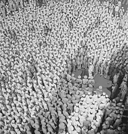 Admirál lord Louis Mountbatten (stojící uprostřed na letové palubě) hovoří k posádce lodi USS Saratoga (CV-3), Trincomalee, Cejlon, duben 1944, archiv NARA