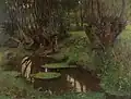 Bažinatá krajina
