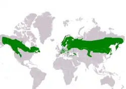 Rozšíření sýce rousného (zeleně – celoroční výskyt, modře – zimoviště)