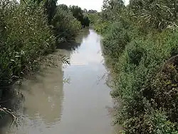 Koryto Nachal Na'aman