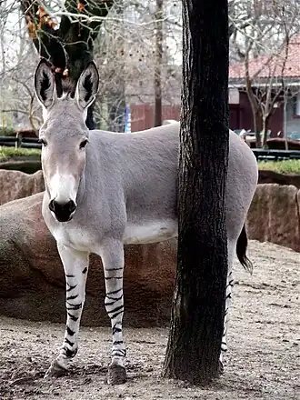 alternativní popis obrázku chybí