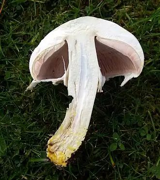 alternativní popis obrázku chybí