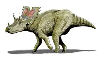 alternativní popis obrázku chybí