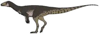 alternativní popis obrázku chybí