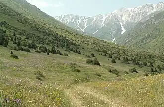 Aksu Jabagly