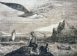 Dřevoryt albatrosa, jak letí nad dvojicí jinochů sedících na skále na břehu moře. V povzdálí lze spatřit plachetnici i náznak parníku, velkou skálu a dva rybáře, jak spouští na moře svou rybářskou loďku