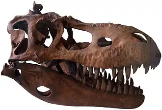 alternativní popis obrázku chybí