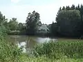 Rybník ve vsi