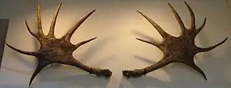 alternativní popis obrázku chybí