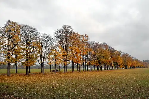 v říjnu 2015