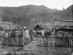 Village scene, Koriniti (Corinth), Wanganui (sic) River