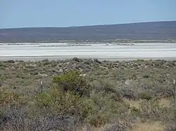 solná pláň Alkali Lake